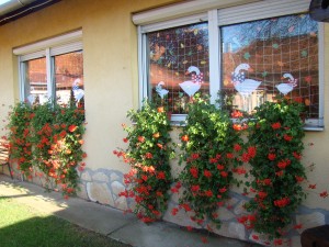 DSC05596